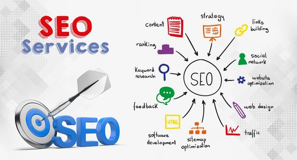 Professional SEO Data and Analytics Dashboard